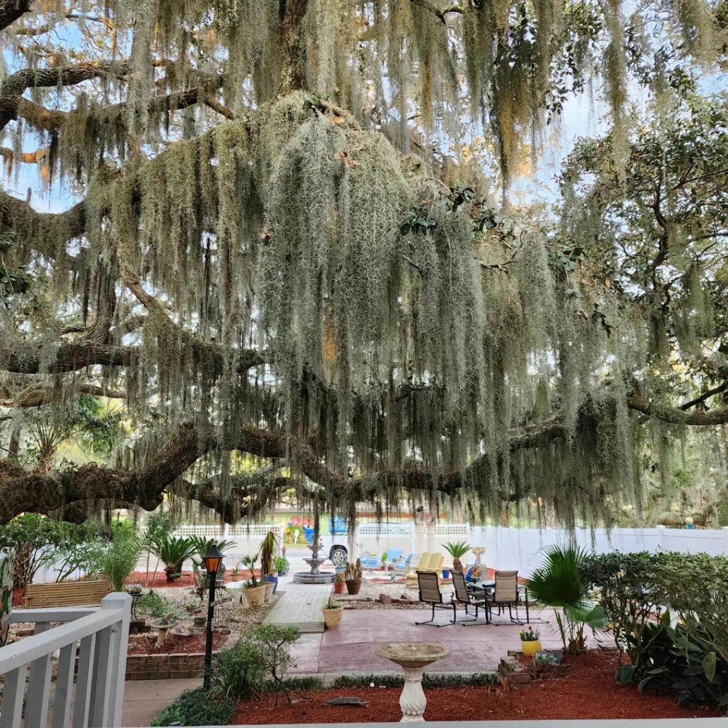 Tybee Island Inn Bed & Breakfast Zewnętrze zdjęcie